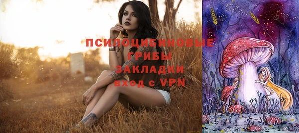 спиды Абинск