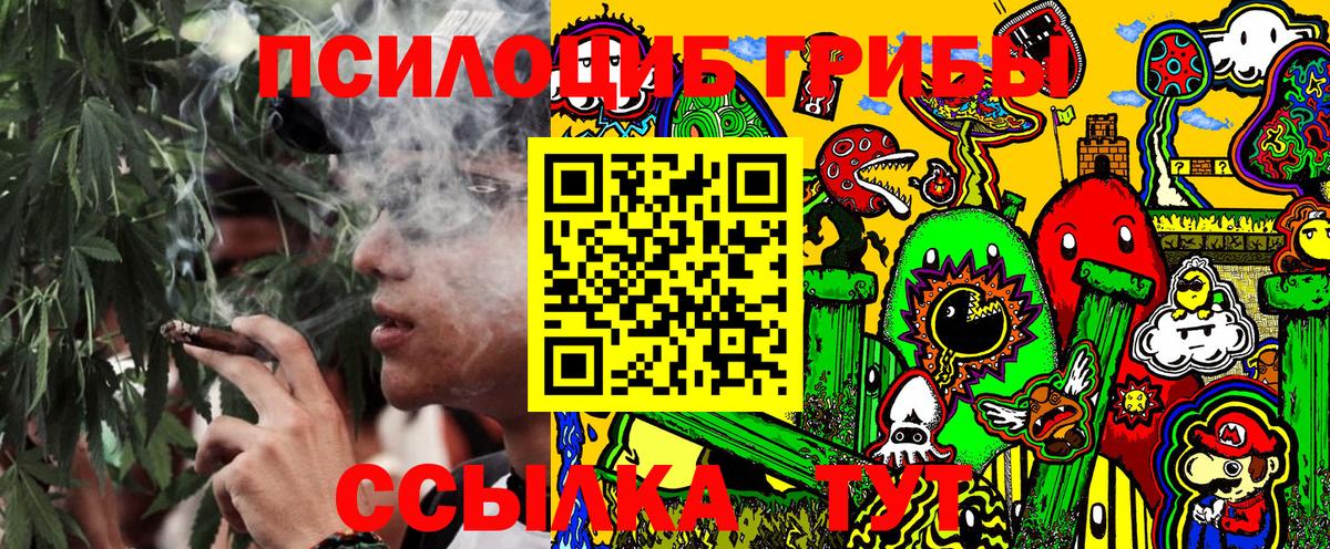 Псилоцибиновые грибы прущие грибы  Псилоцибиновые грибы GOLDEN TEACHER  Уварово  Вход с VPN 