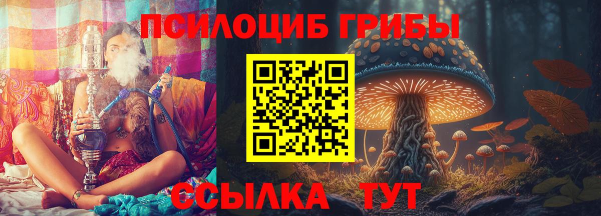 Галлюциногенные грибы прущие грибы Уварово